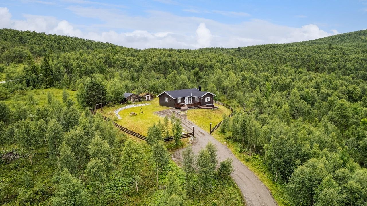 Eiendommen ligger ved inngangsporten til Forollhogna nasjonalpark i Vingelen Galleribilde