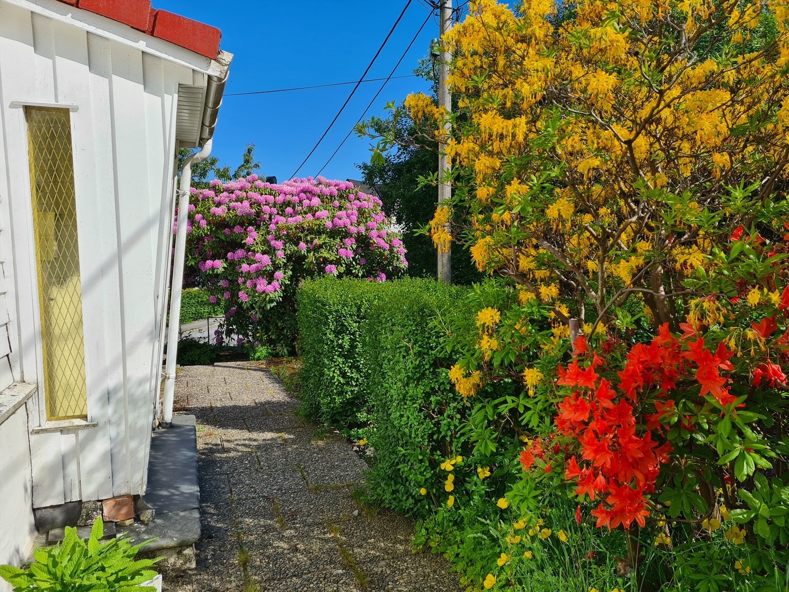 Pent opparbeidet uteområde og beplantet uteområde som er felles for sameie. Galleribilde