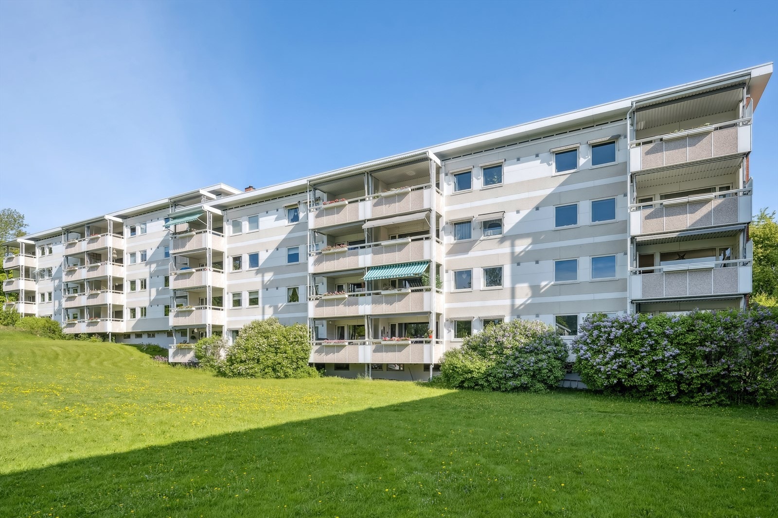 Pent opparbeidet fellestomt med bl.a. plen, busker, gangveier m.m. Galleribilde