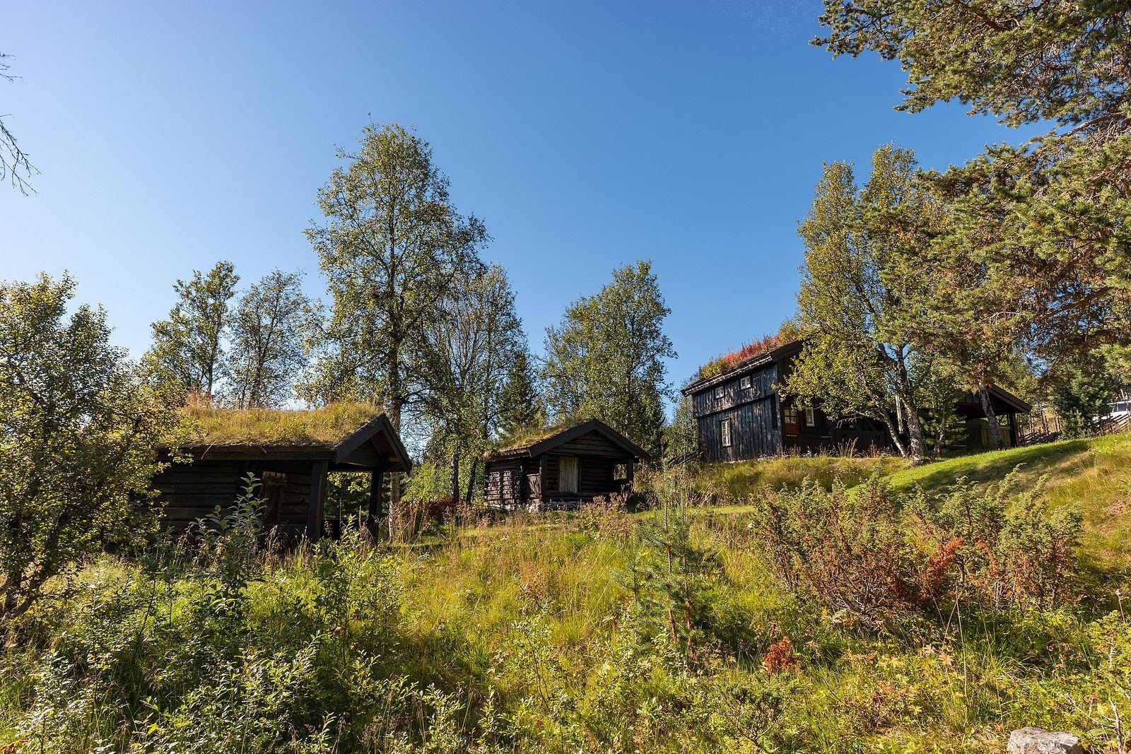 Fasade. Galleribilde