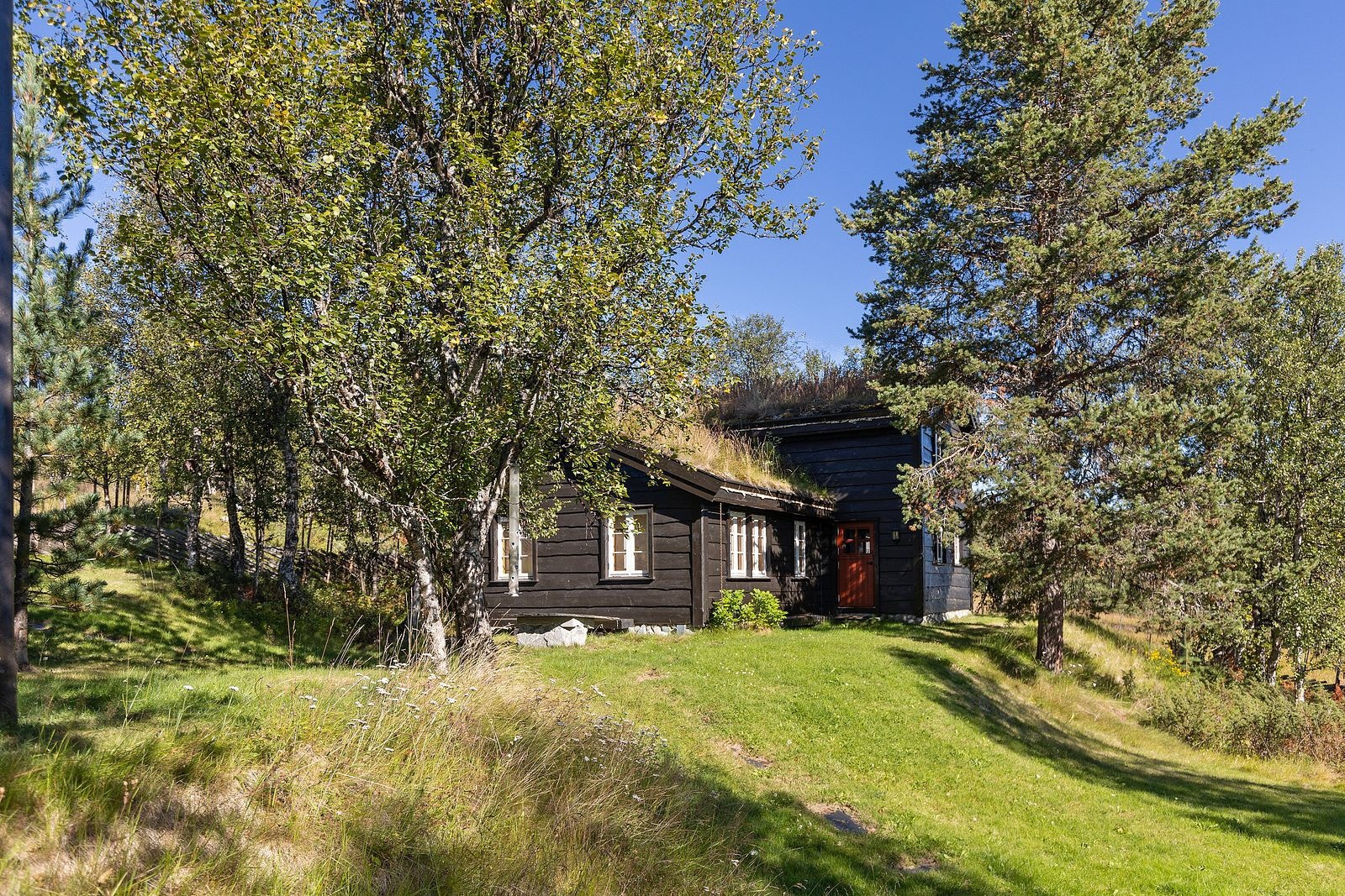 Uteplass fra kjøkkenet. Galleribilde