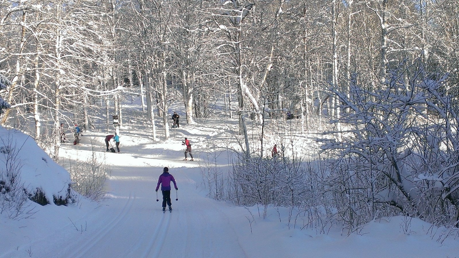 Kort vei til skiløypene i Østmarka. Her fra Gullsmeden - en gammel husmannsplass mellom Nøklevann og Sør-Elvåga.jpg Galleribilde