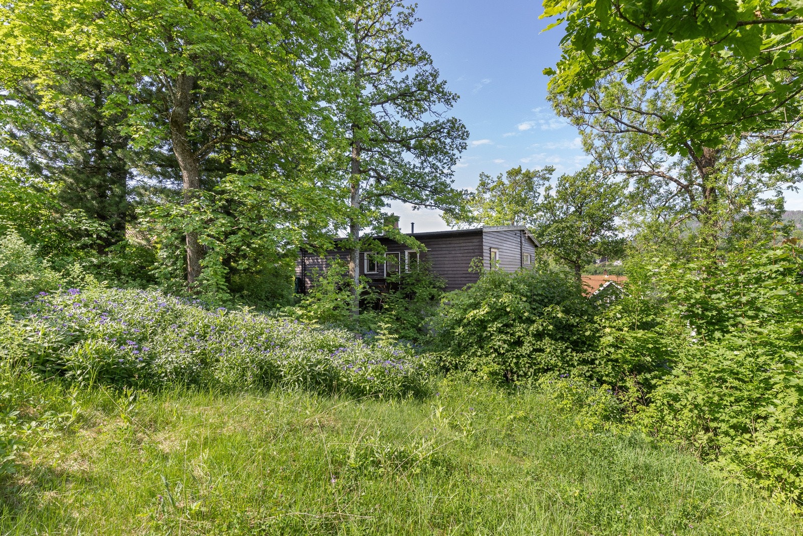 Her er det godt med boltreplass og rom for en rekke aktiviteter året rundt. Galleribilde