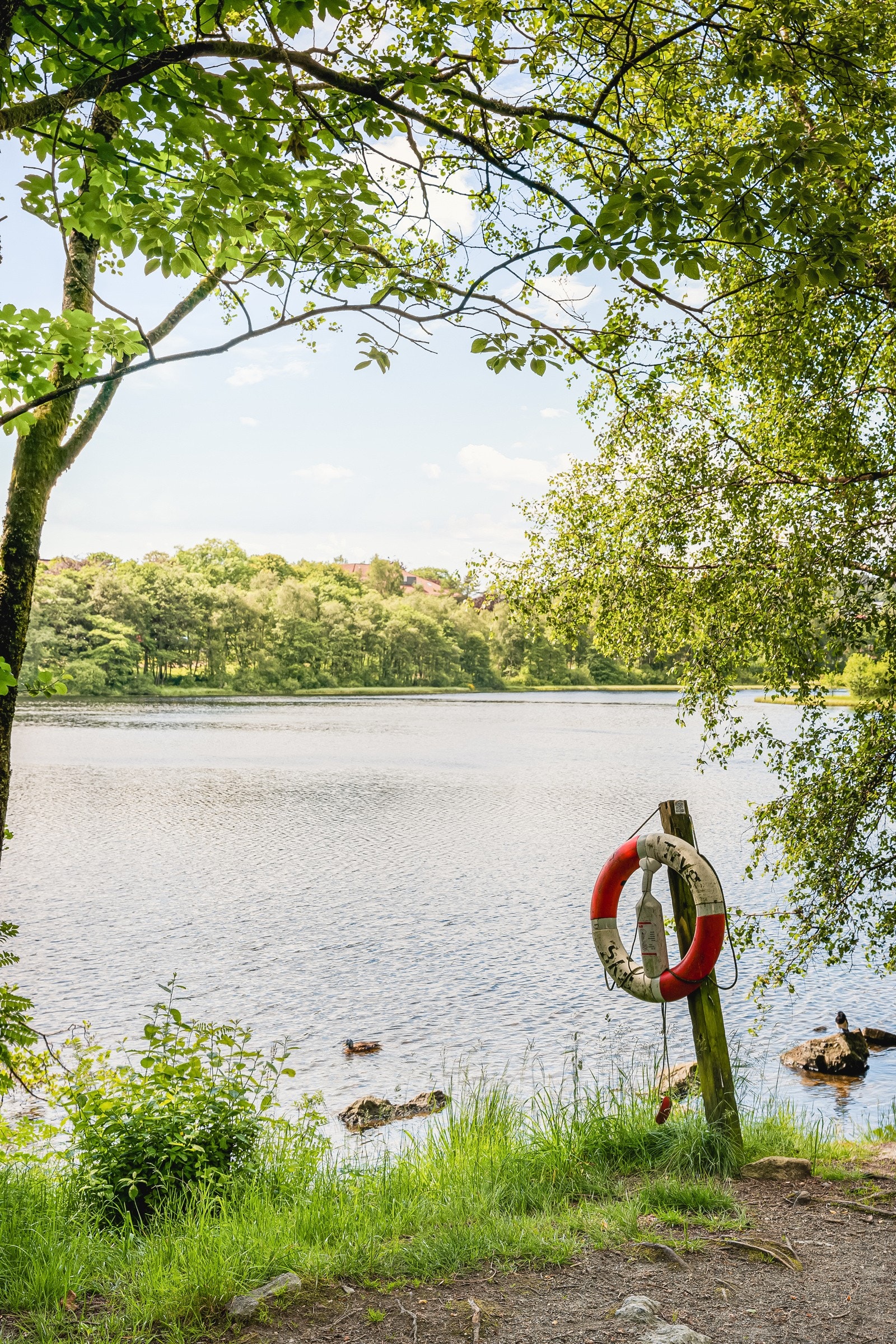 Ortunvannet Galleribilde