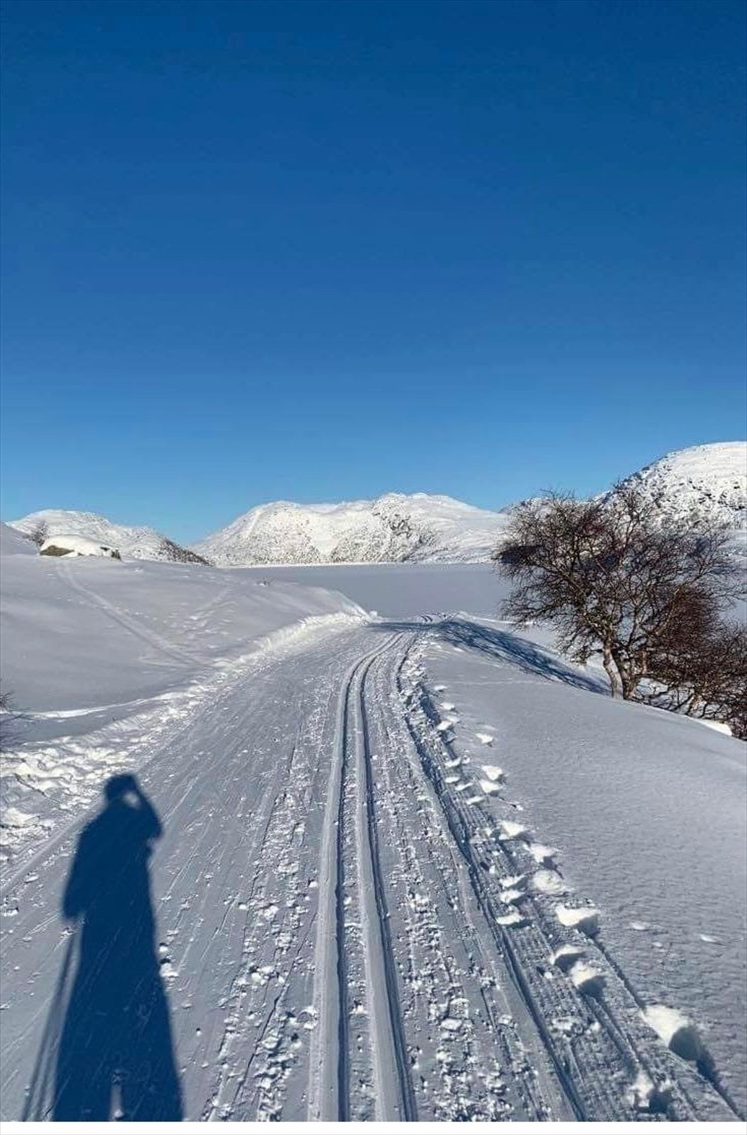 Oppkjørte skispor.jpg Galleribilde