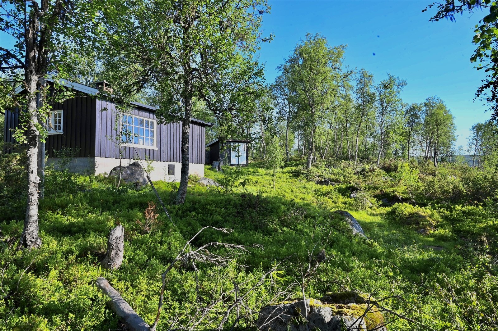 Rundt festetomten er det friarealer. Galleribilde