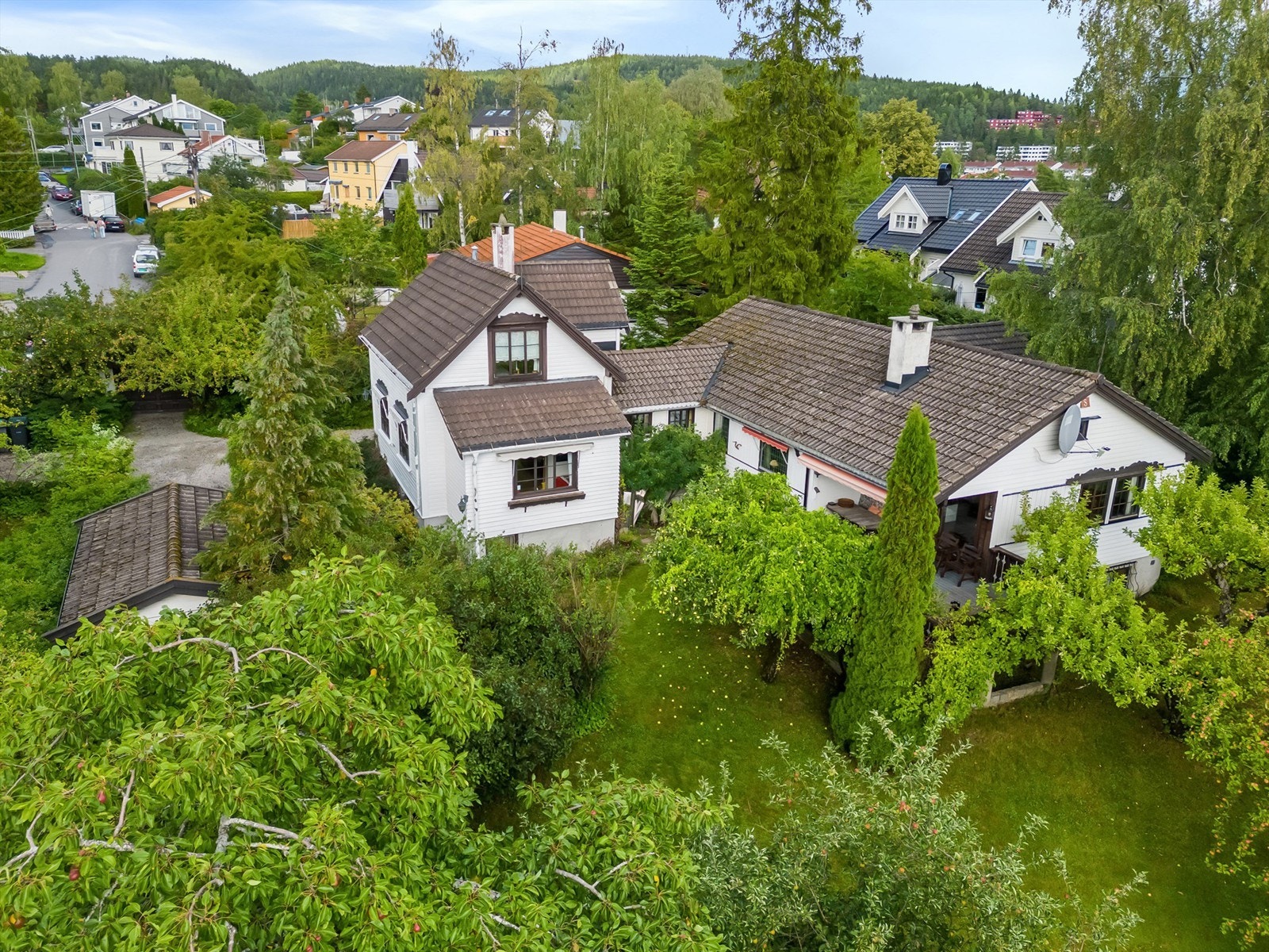 Dette er Årvolls svar på Botanisk hage og bør oppleves Galleribilde