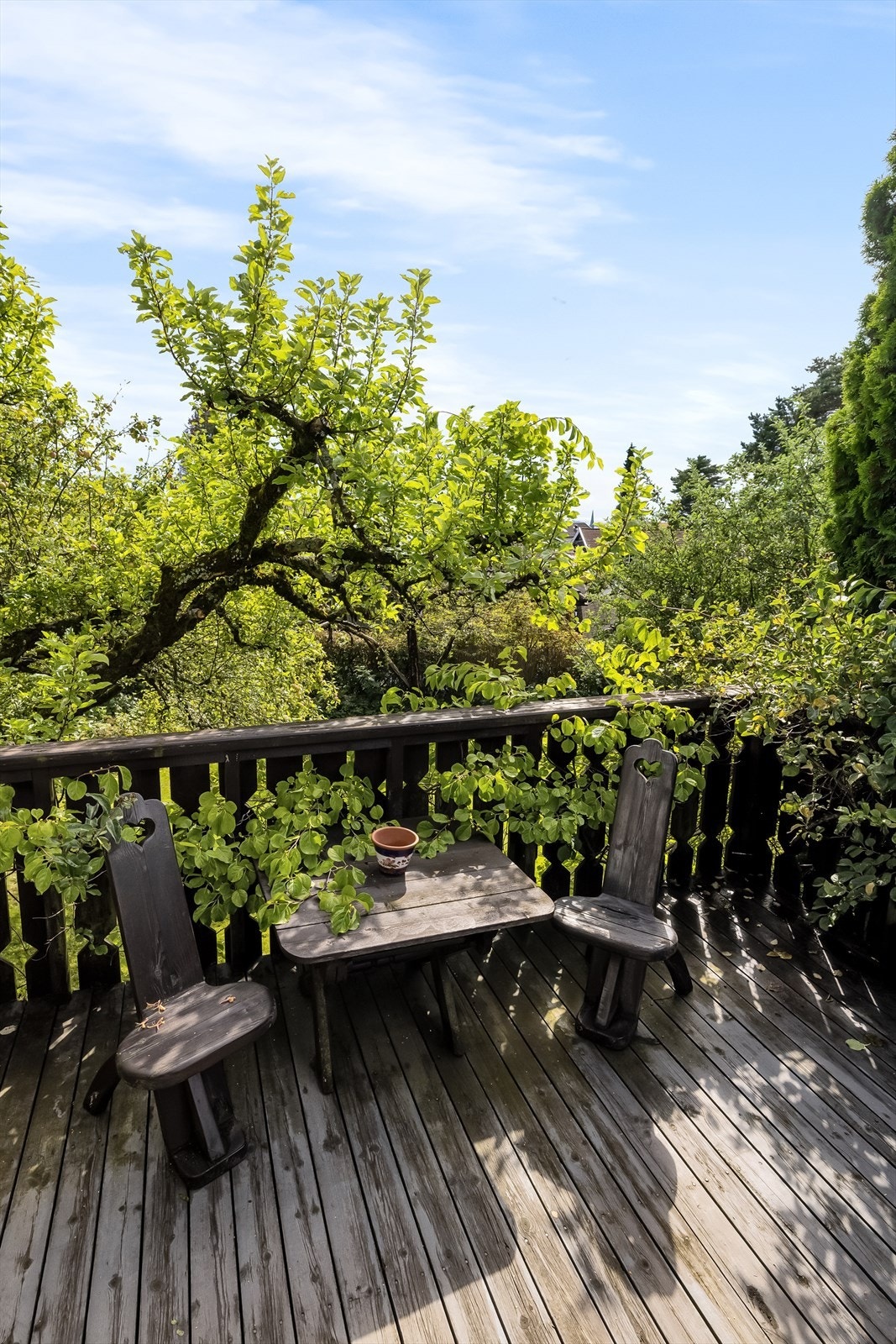 Usjenert og skjermet Galleribilde