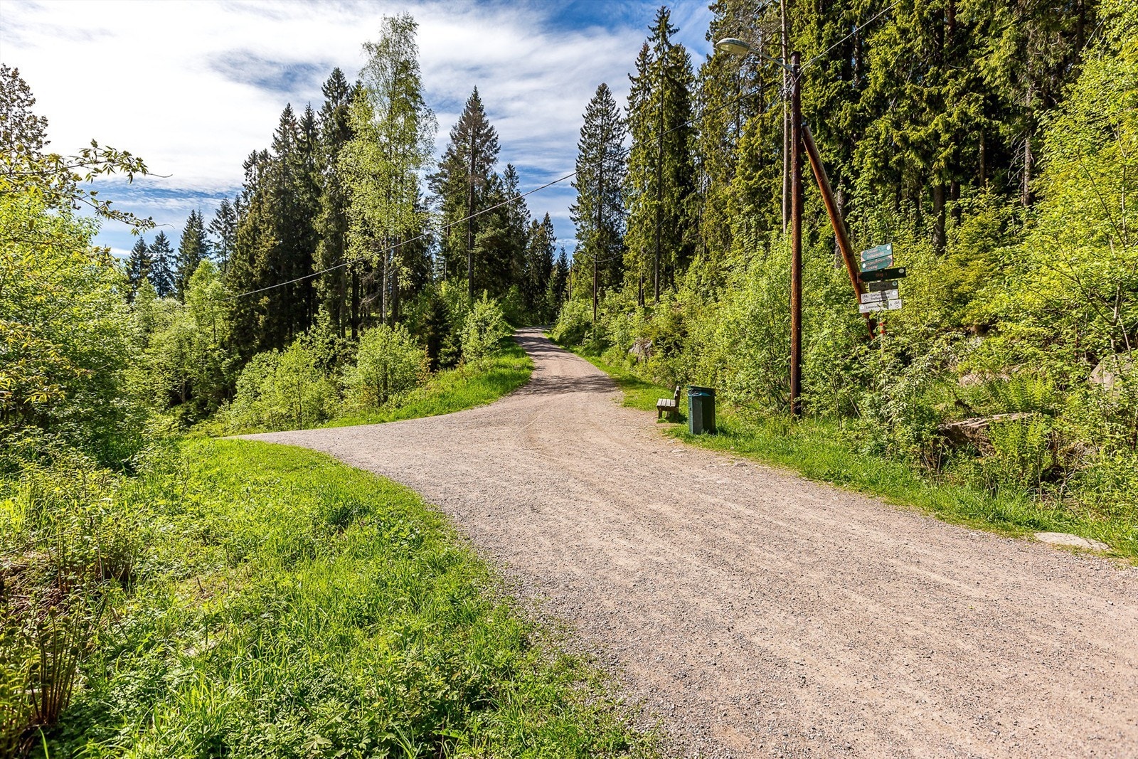 Lillomarka ligger kun noen minutter fra boligen Galleribilde