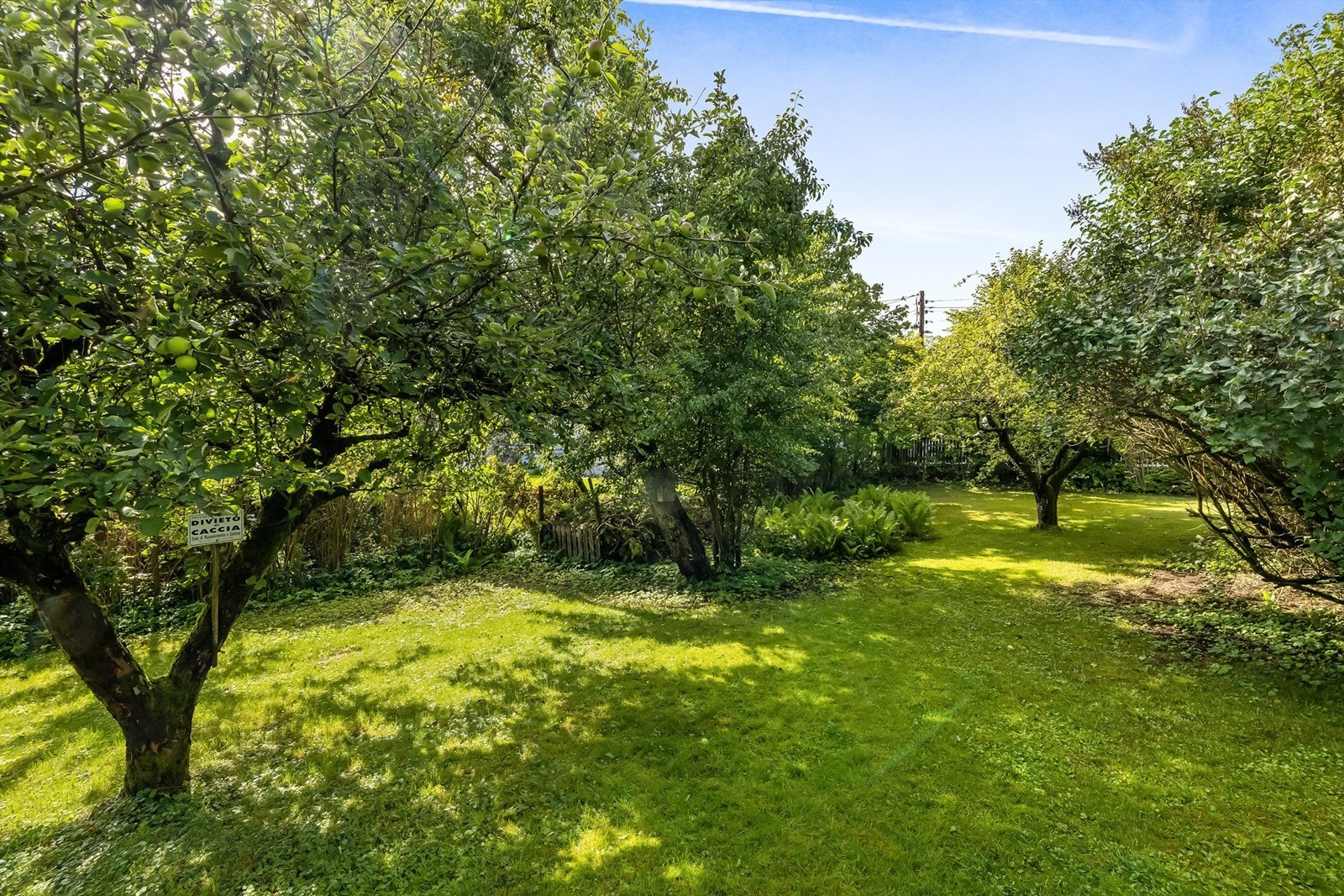 Her får du følelsen av å ha din egen botaniske hage Galleribilde