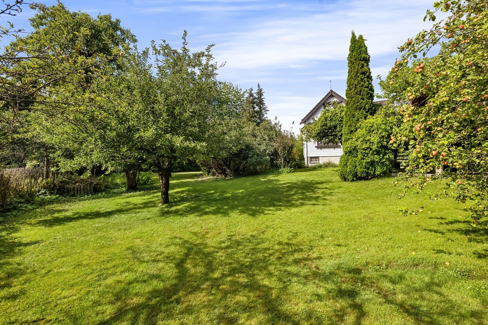 Fantstisk usjenert tomt med gode solforhold, frukttrær, store trær og bærbusker Galleribilde