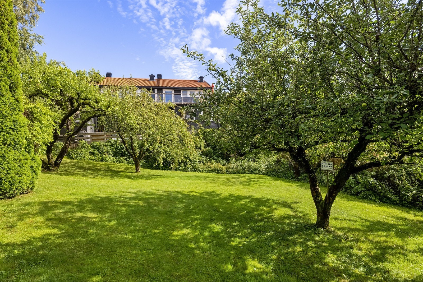 Sjeldent stor og idyllisk hage med mange frukttrær, bærbusker og planter Galleribilde