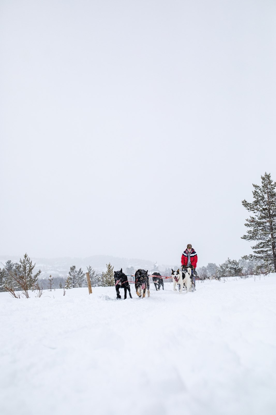 Geilo byr på godt med aktivitetstilbud -Foto_Paul_Lockhart Galleribilde