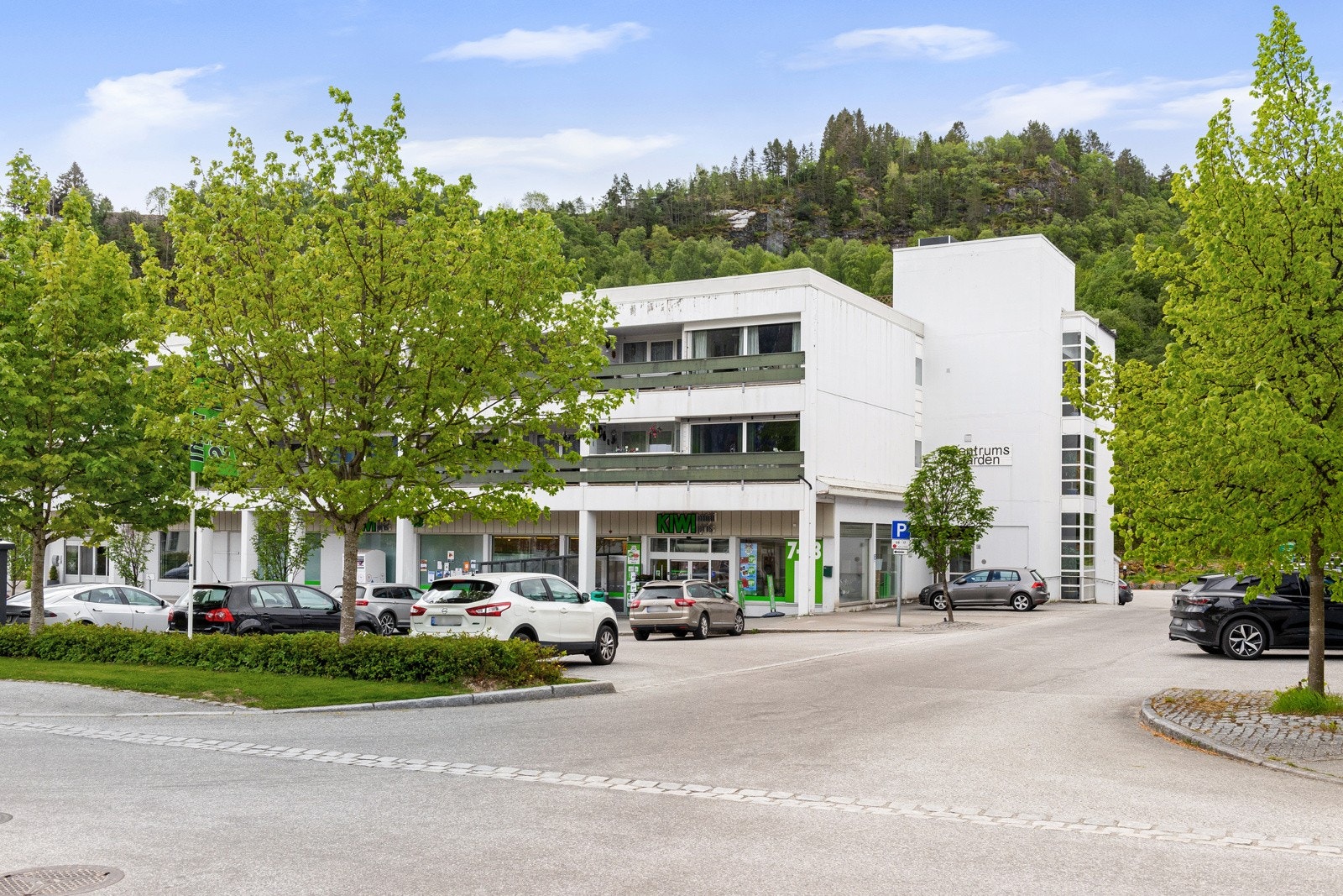 Fasade. Galleribilde