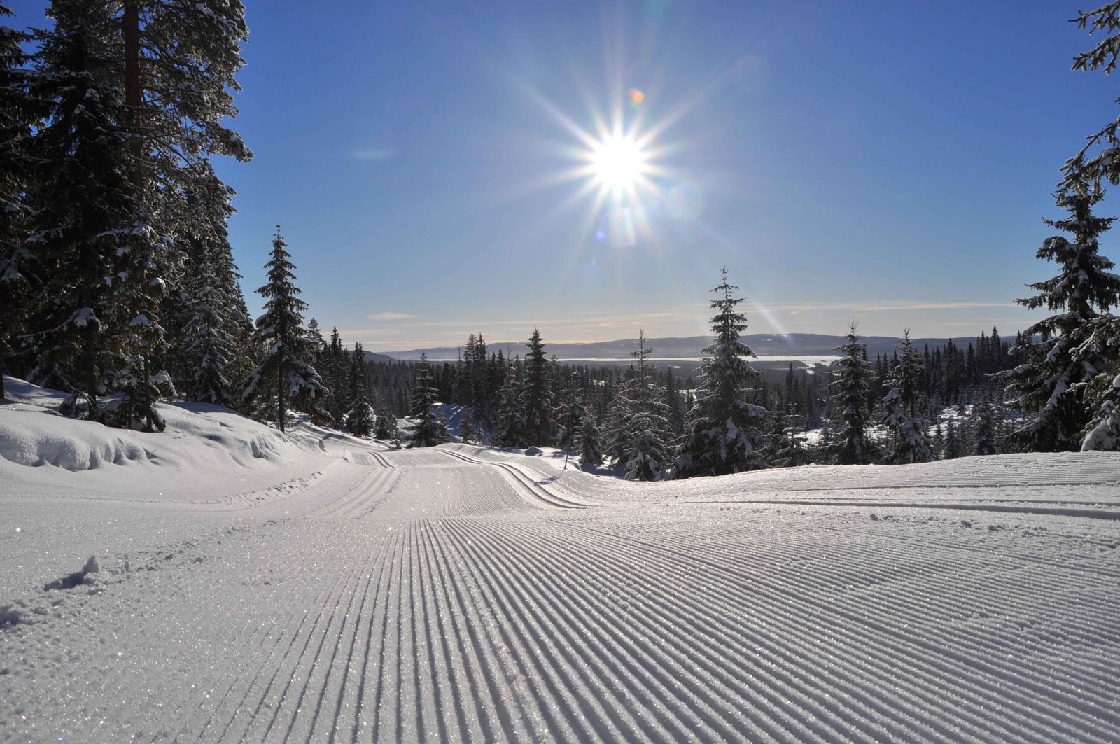 Området byr på flotte langrennsløyper Galleribilde