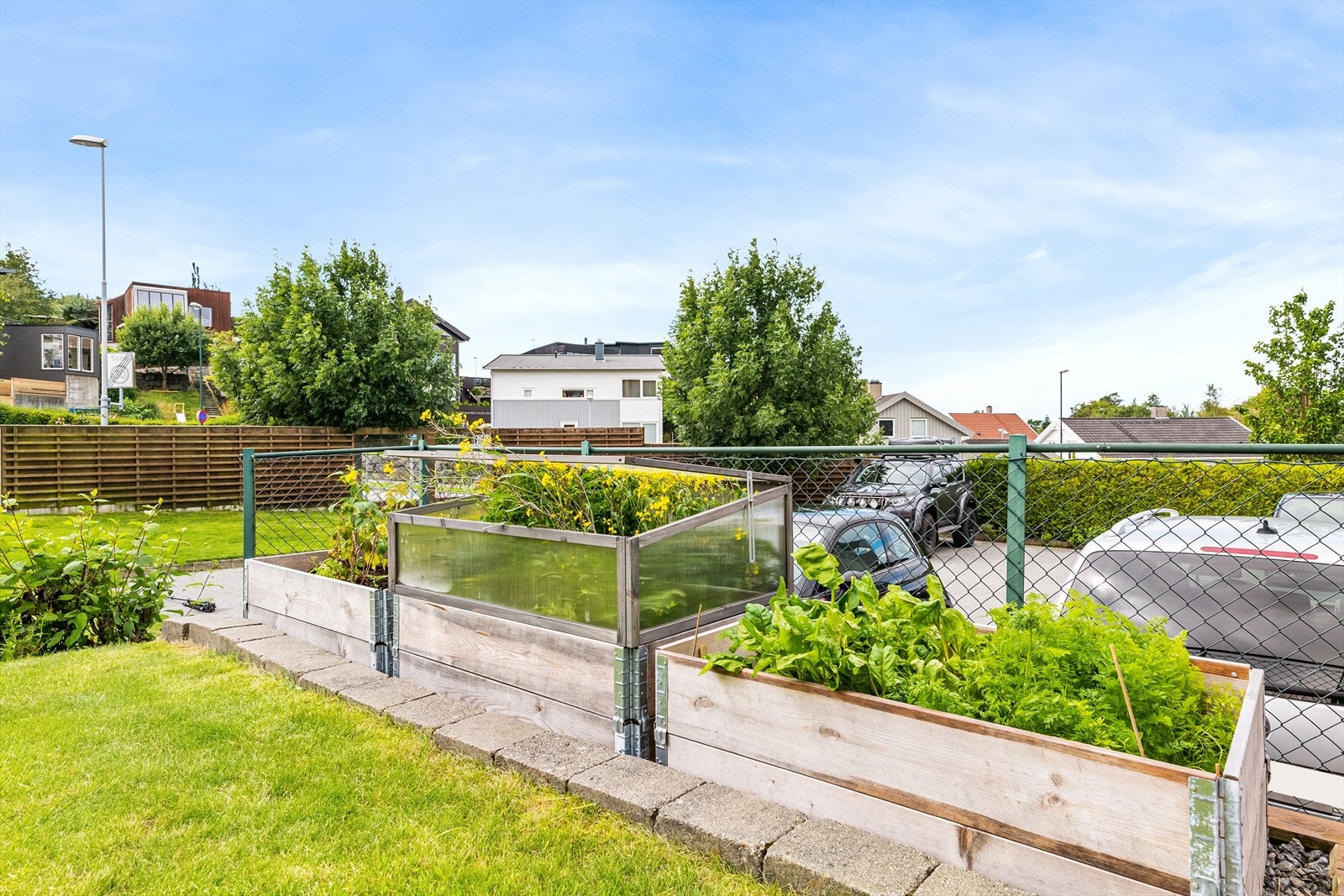 Har du grønne fingre er det plass og muligheter her. Galleribilde