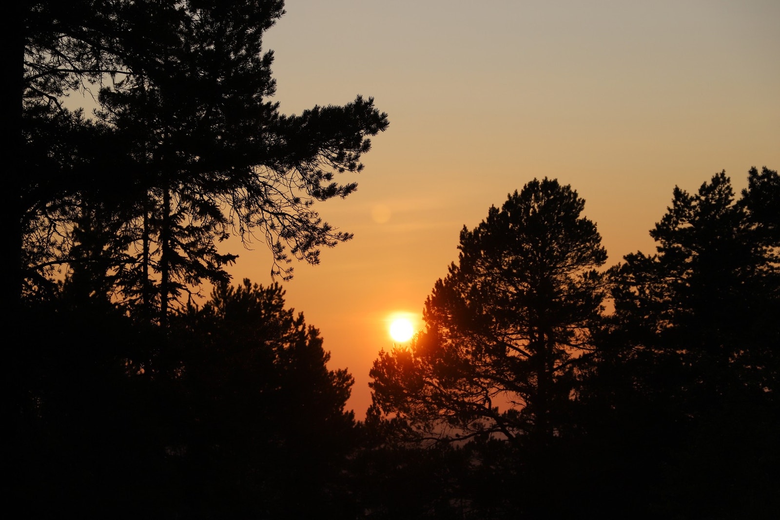 Solnedgang. Galleribilde