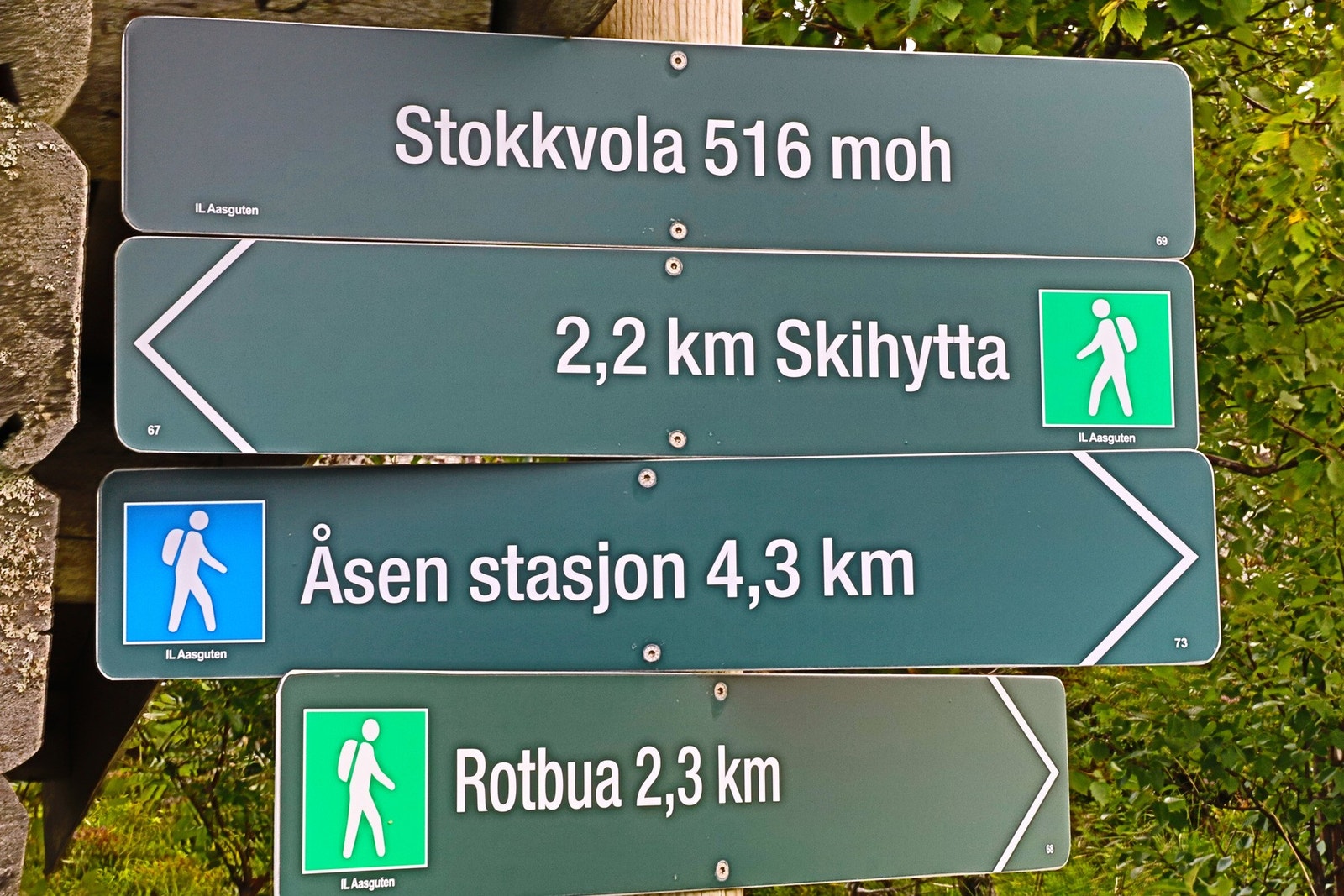 Nærområdet. Galleribilde