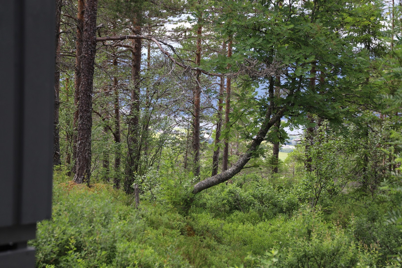 Utsikt til Åsen. Galleribilde