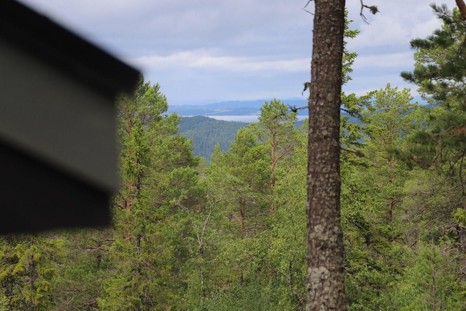 Utsikt mot Inderøy og Skarnsundbrua. Galleribilde