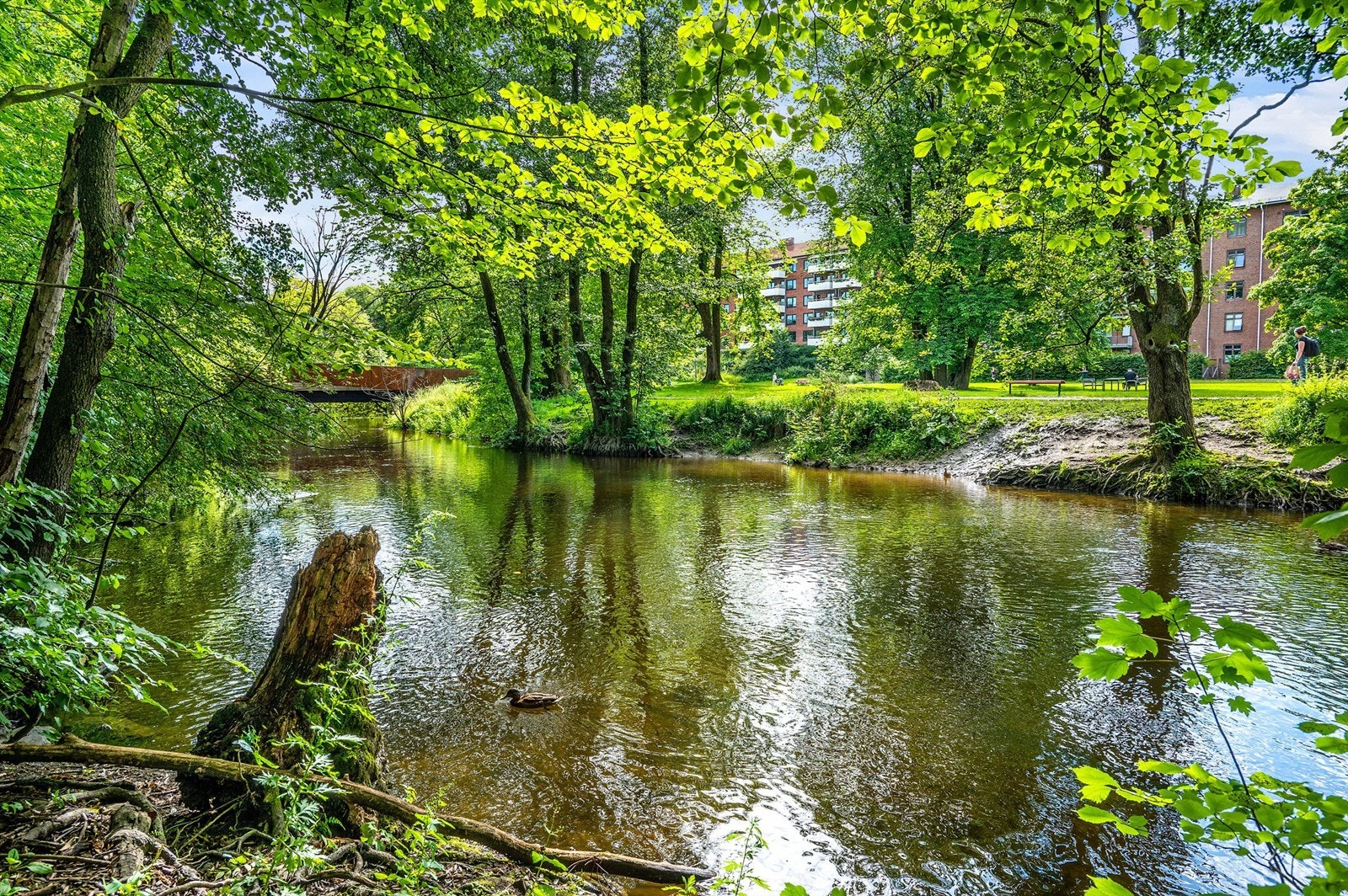 Rett nedfor går det en hyggelig tursti langs elvebredden, fra sentrum sør i Maridalen/Nordmarka i nord med sine mange turmuligheter, sommer som vinter. Med en kort spasertur i fine omgivelser langs Akerselva ender du opp på Grünerløkka. Galleribilde