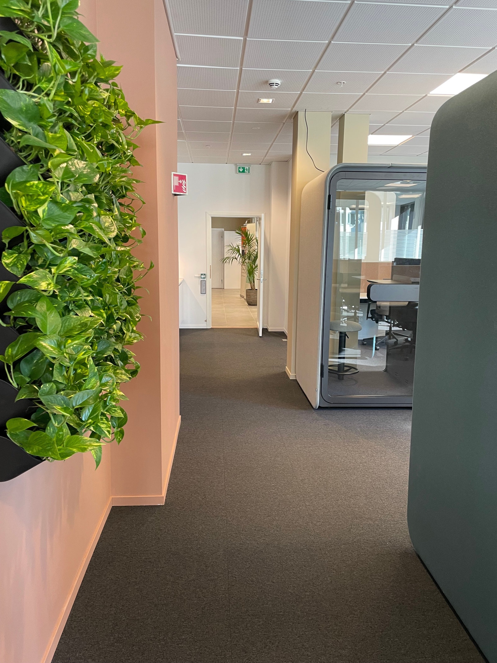 Fra vår nye 2. etasje for Innovasjonsbedrifter som åpnet i mai. Galleribilde