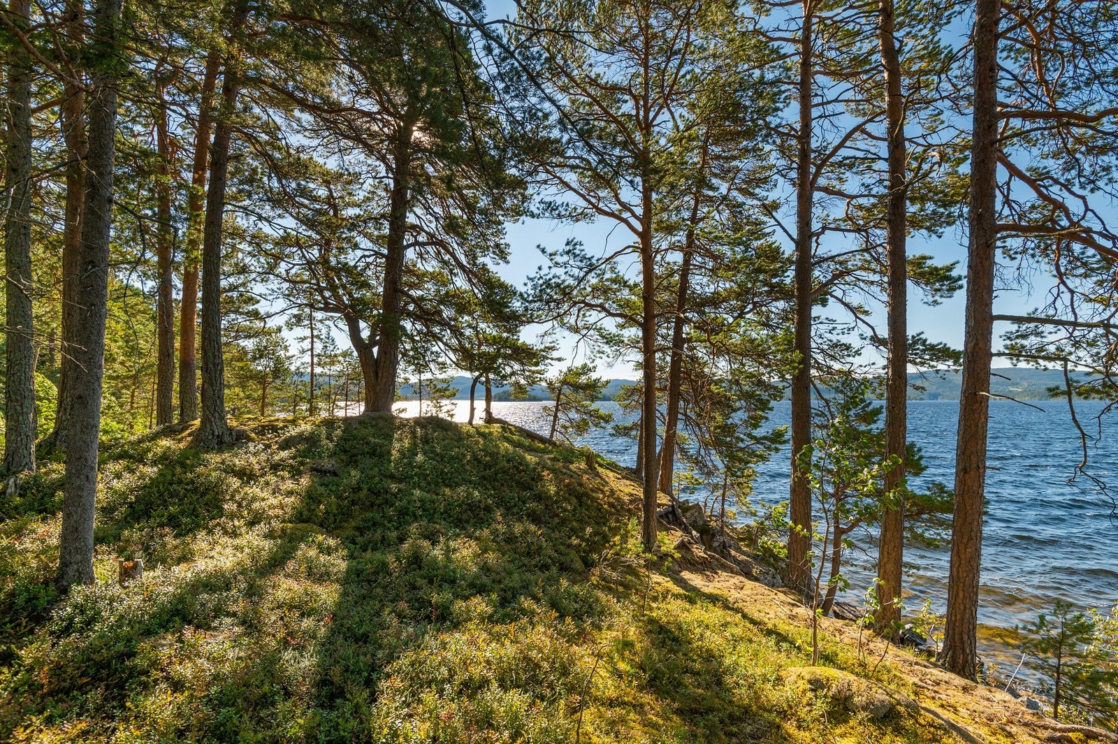 Området har fantastiske turområder med blant annet skog og bærterreng rett utenfor døra. På vinterstid er det kort vei til nærmeste oppkjørte skiløype. Galleribilde