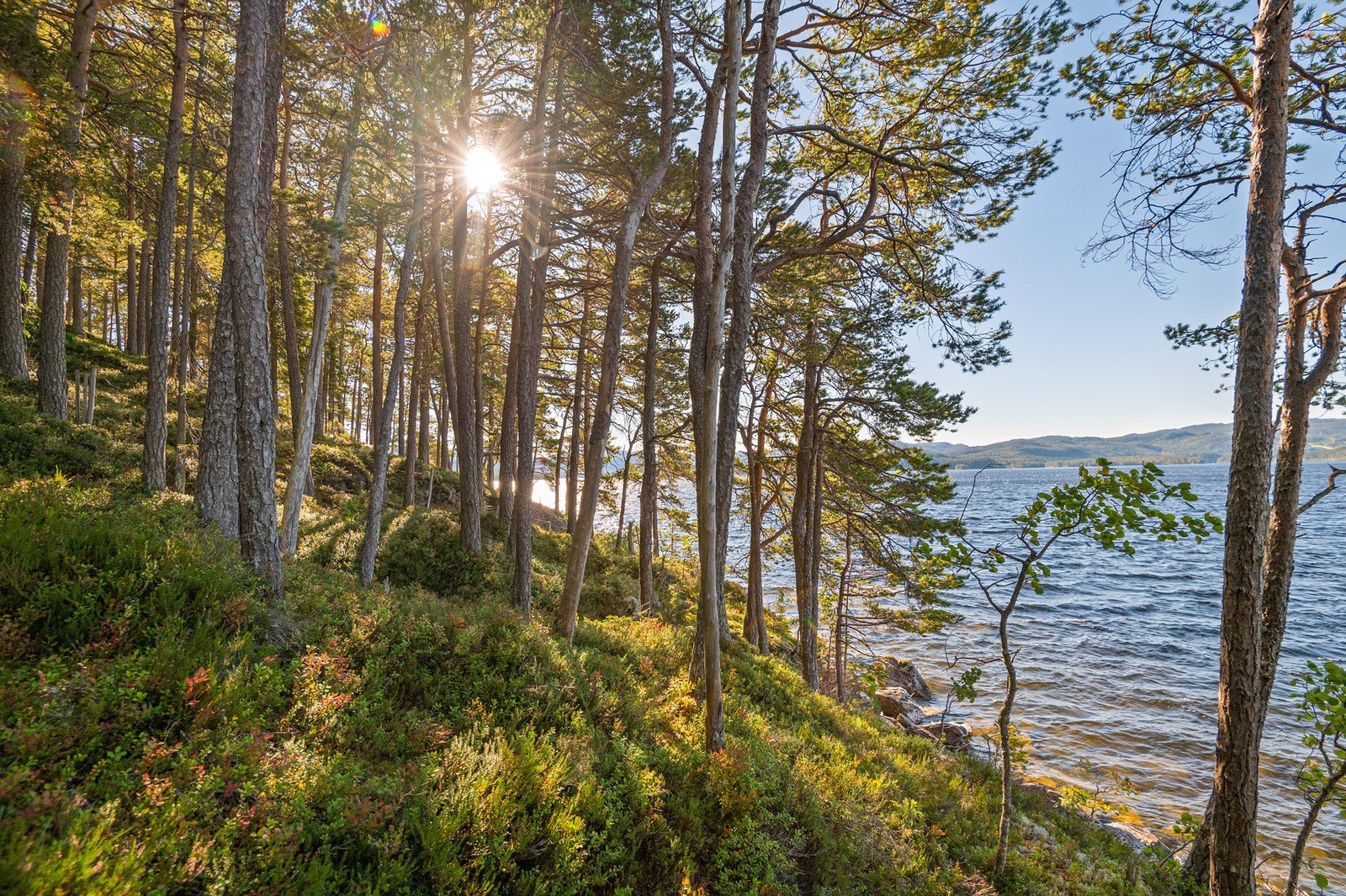 Hytta ligger i landlige og idylliske omgivelser, med kort vei til marka og friluftsliv med Jonsvatnet like ved. Galleribilde