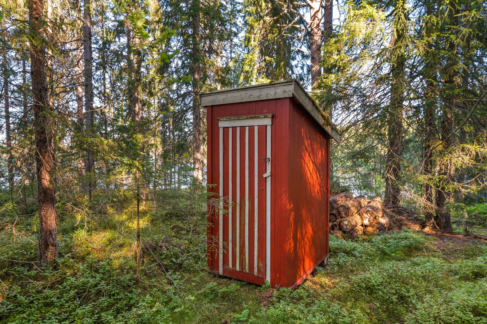 Redskapsbod. Galleribilde