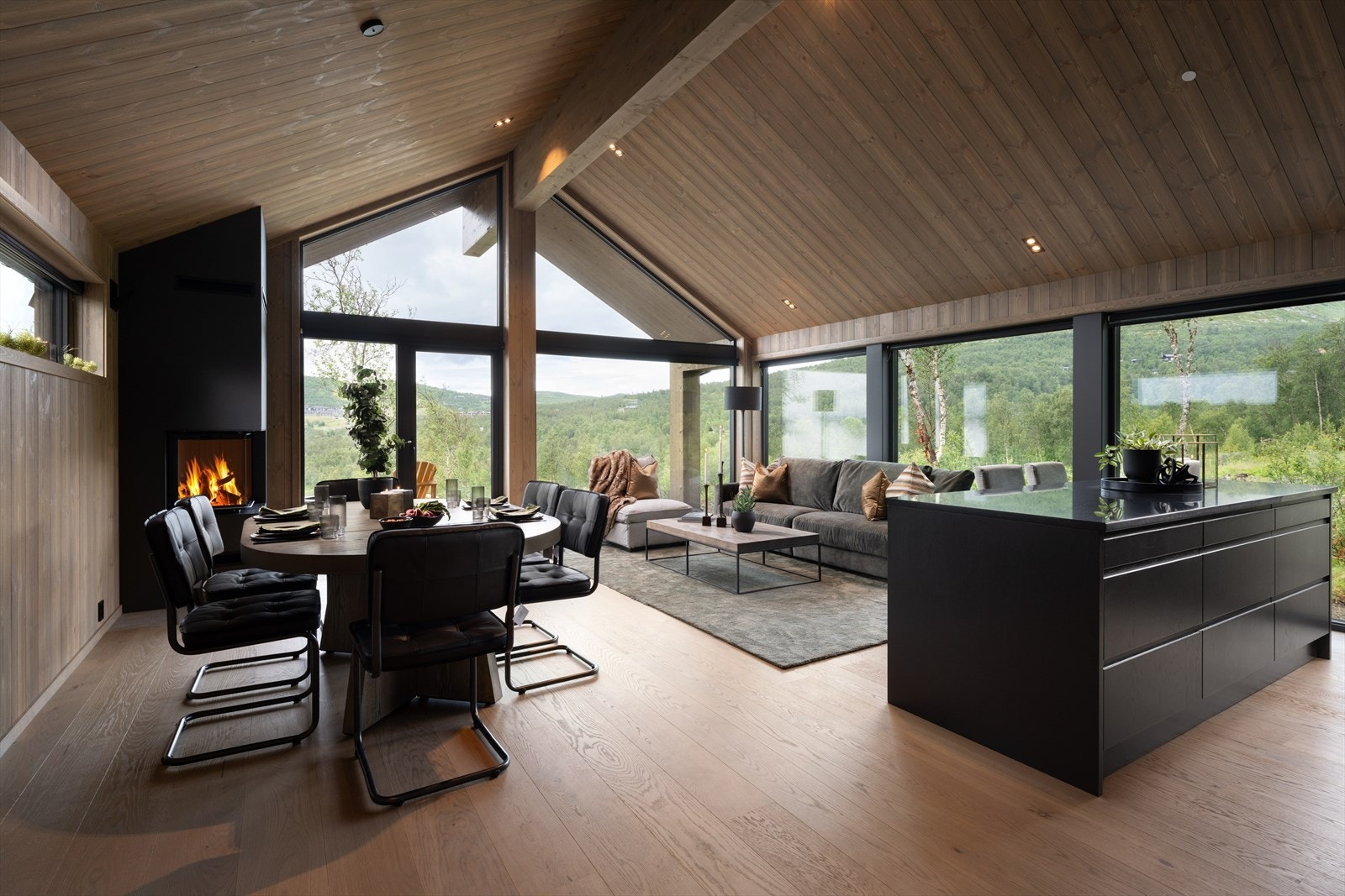 Lekker hytte med praktisk planløsning og gode kvaliteter Galleribilde