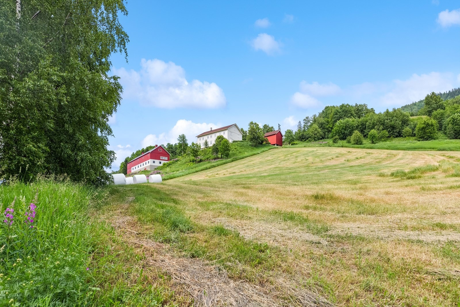 Flere_bilder Galleribilde