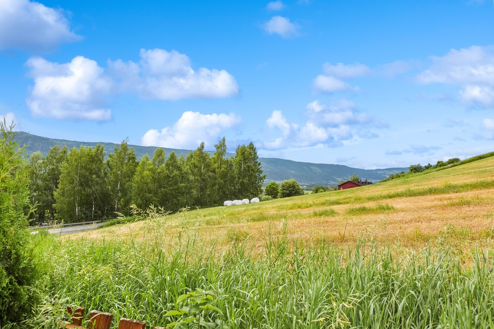 Flere_bilder Galleribilde