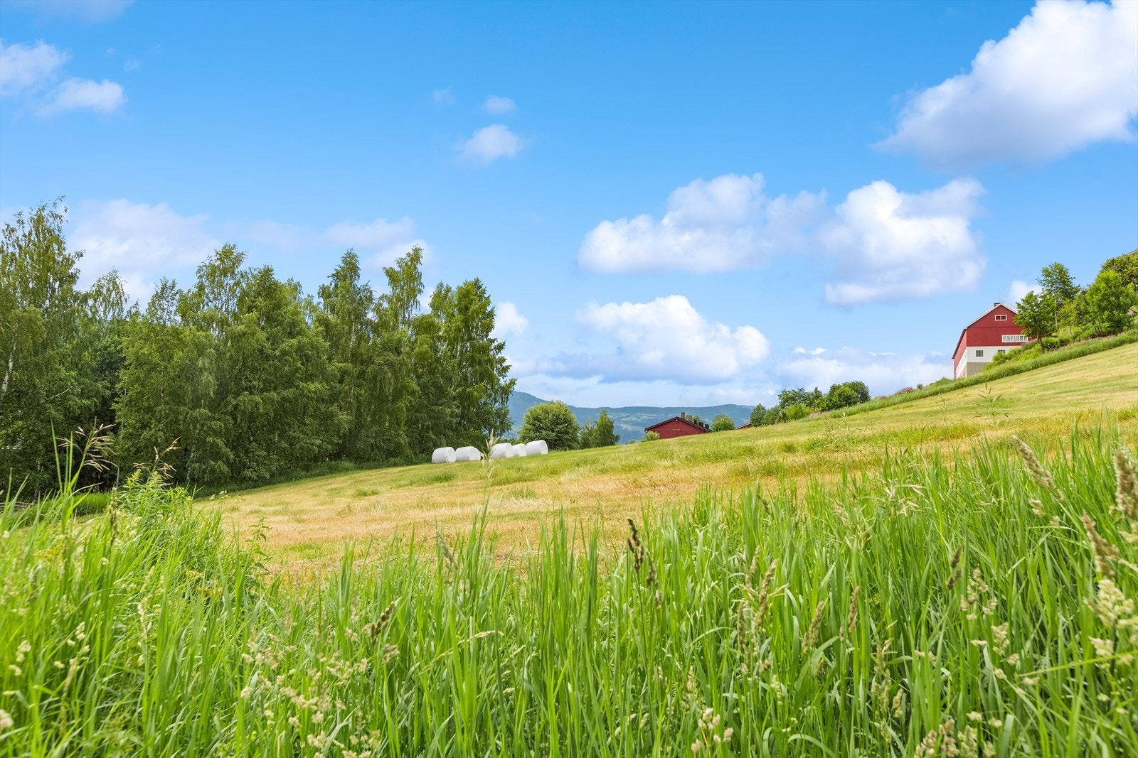 Flere_bilder Galleribilde