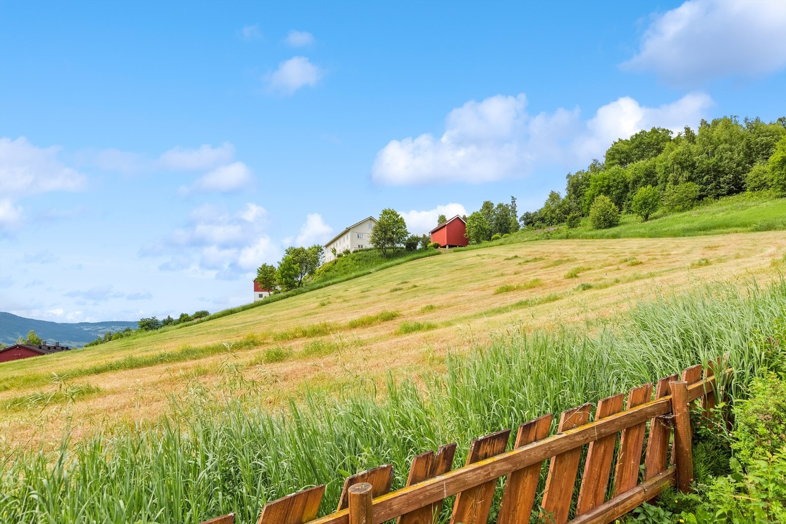 Flere_bilder Galleribilde