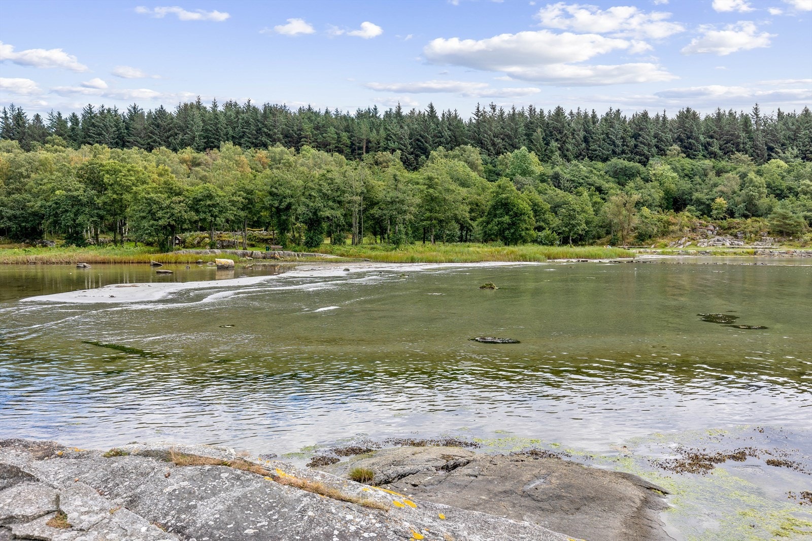 Lang sjølinje! Galleribilde