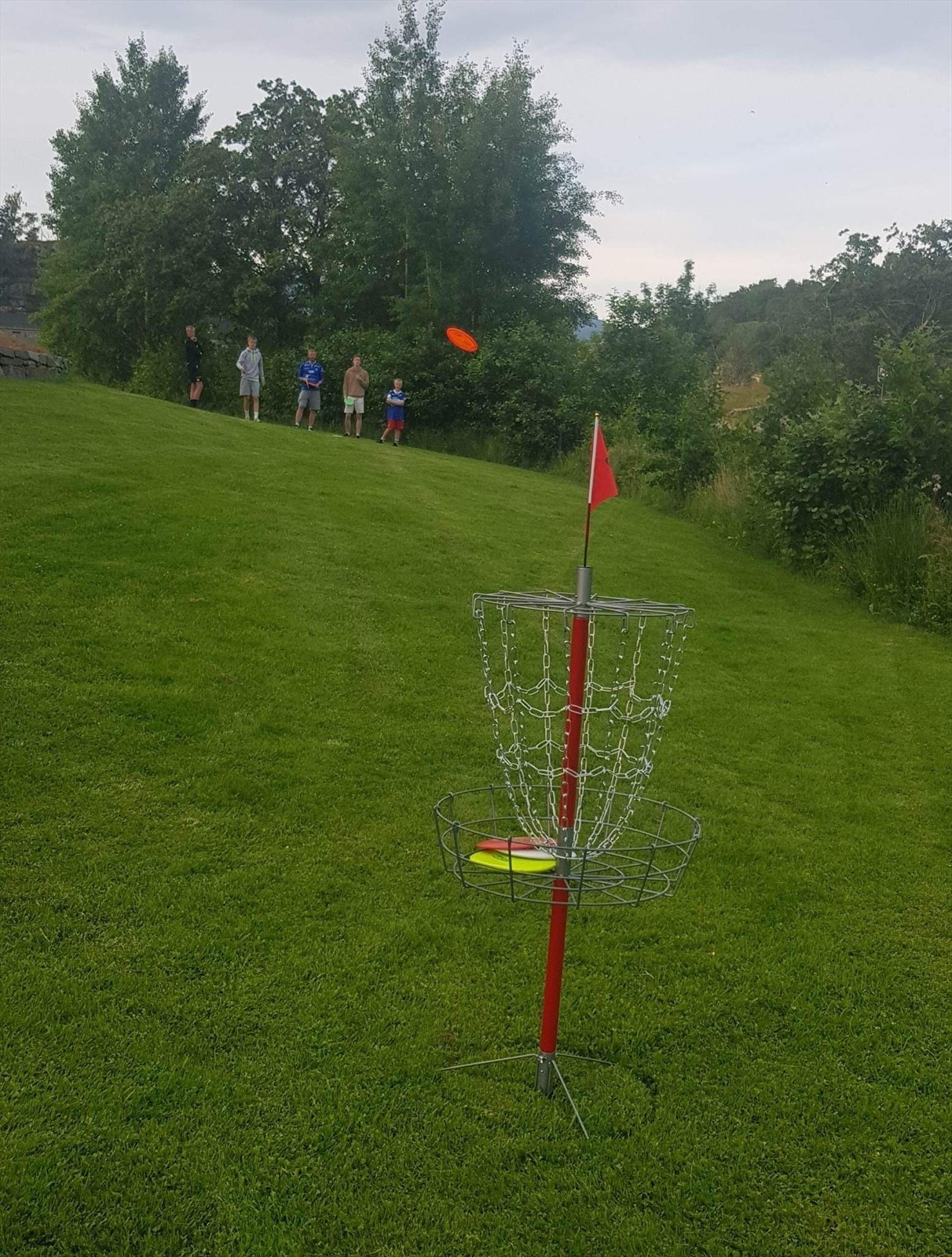 Perfekt eiendom bla for frisbeegolf. Galleribilde