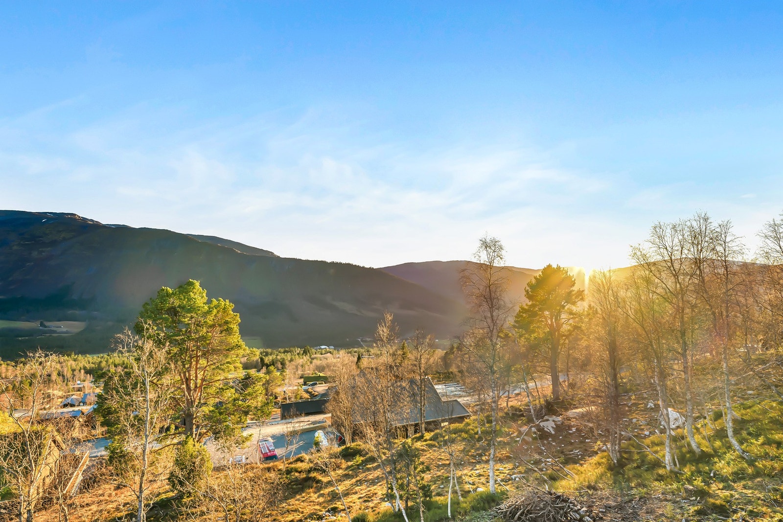 Utsiktsbilde. Galleribilde