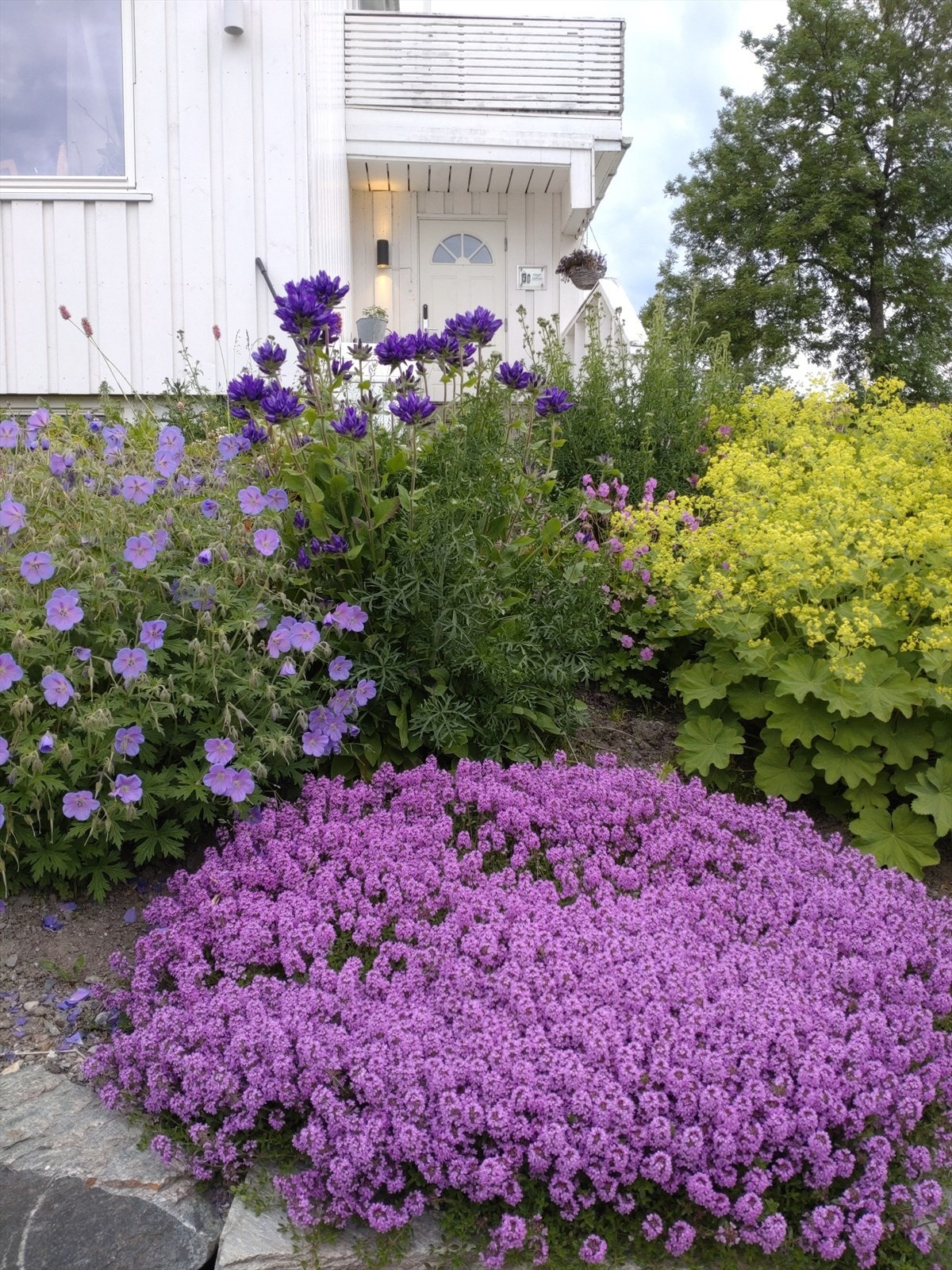 SELGERS EGNE BILDER Galleribilde