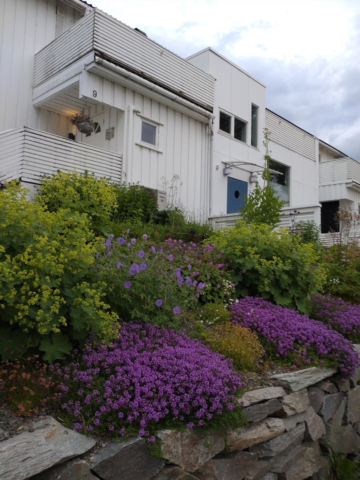 SELGERS EGNE BILDER Galleribilde