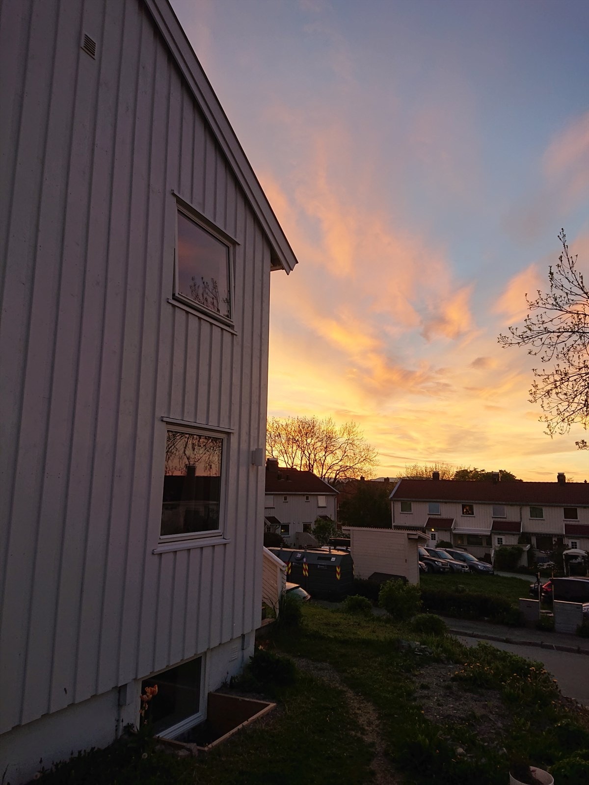 SELGERS EGNE BILDER Galleribilde