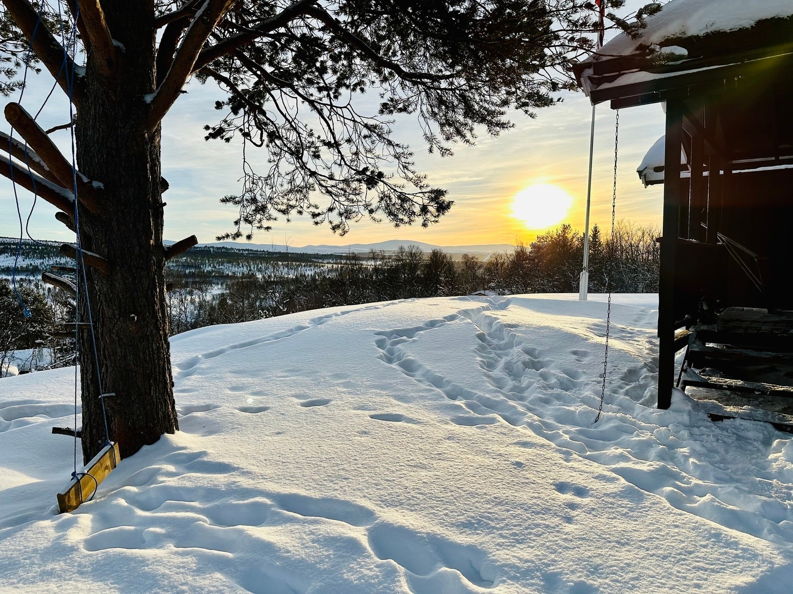 Selgers bilde Galleribilde