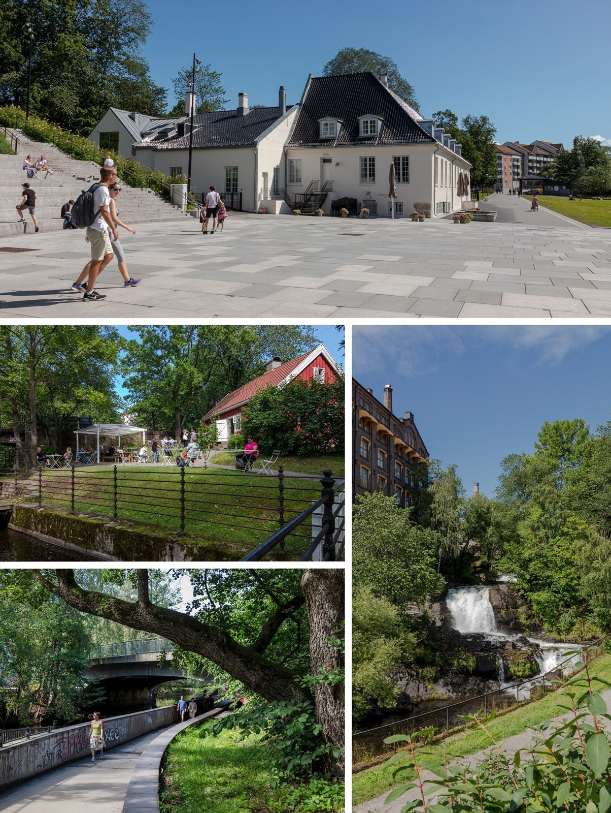 Flotte turområder Galleribilde