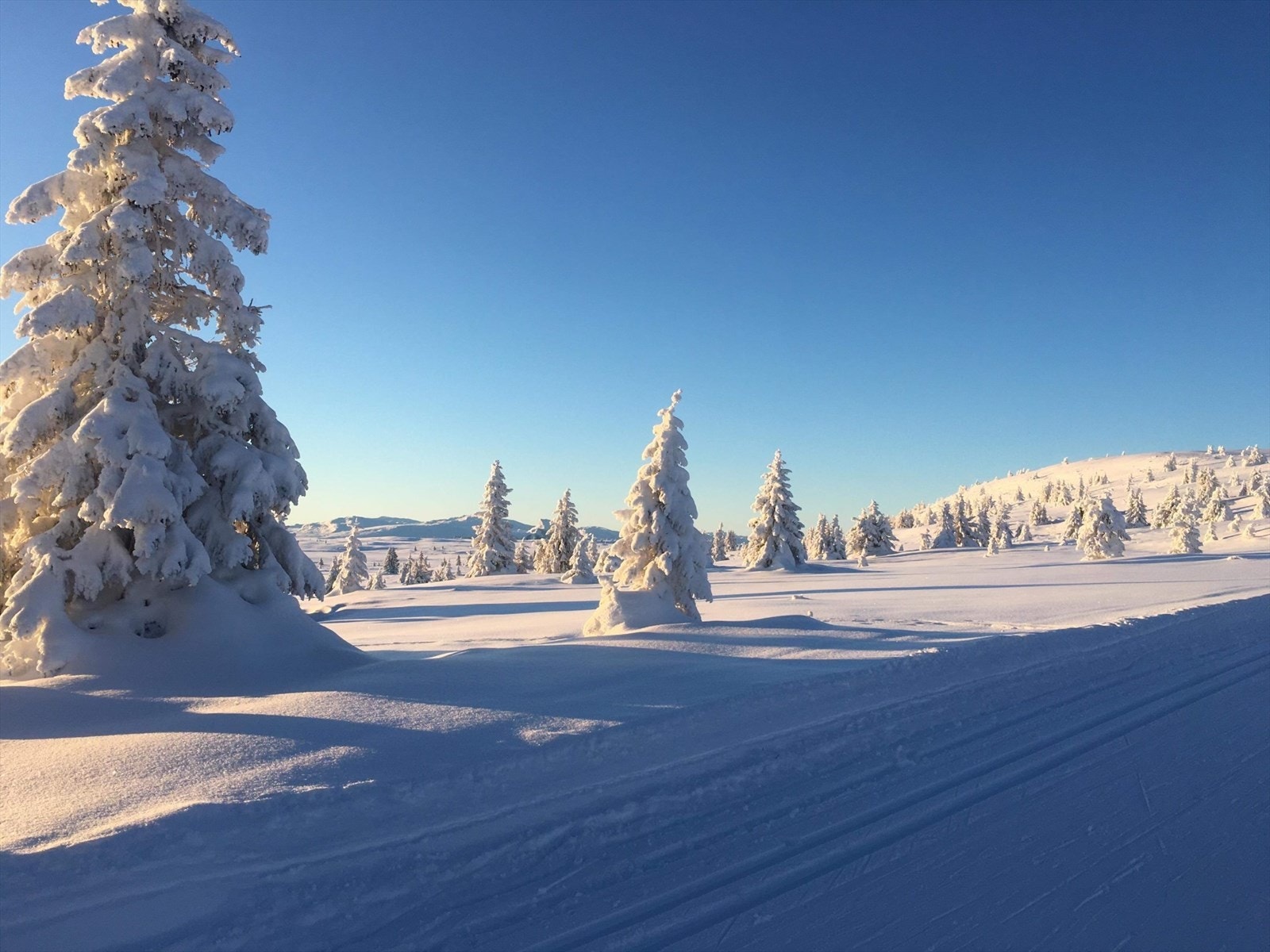 Skiløypene går rett nedenfor hytta! Galleribilde