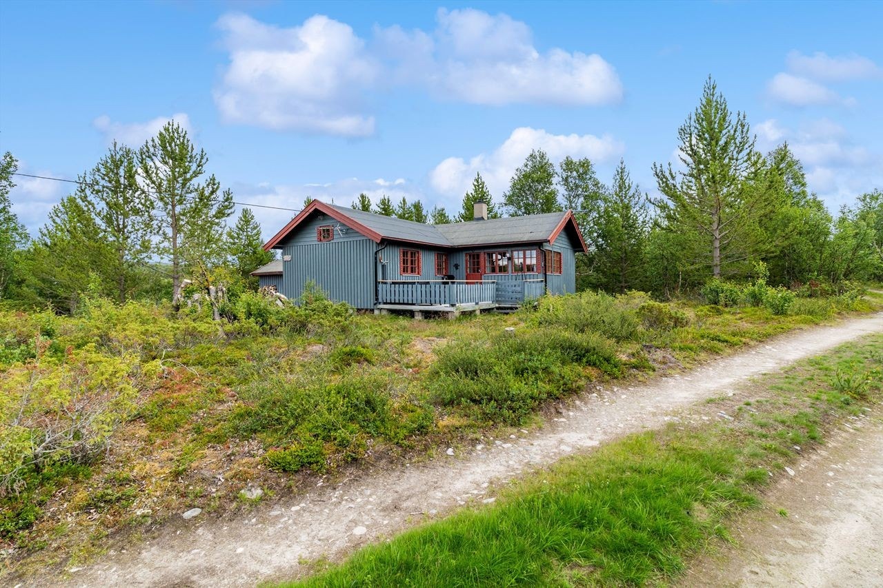 Flott sørvendt veranda Galleribilde