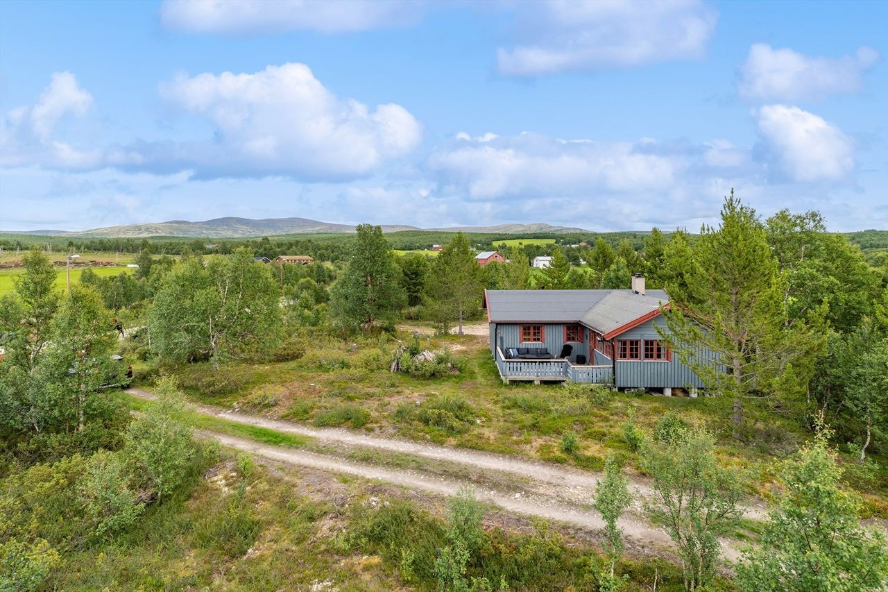 Velkommen til Hodalen 75! Galleribilde