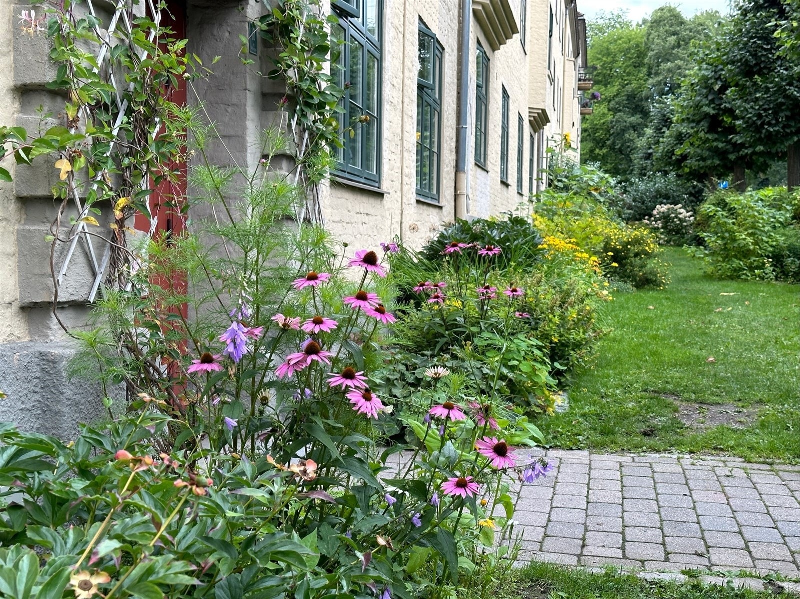 Privat bilde, fra forhagen. Her er det mulig å få din egen dyrkekasse til grønnsaker og urter. Galleribilde