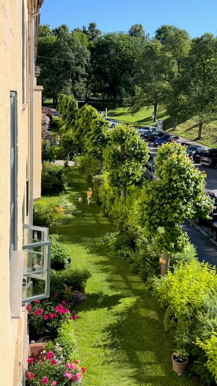 Privat bilde. Utsikt fra stuen, ned mot forhagen foran inngangen. Galleribilde