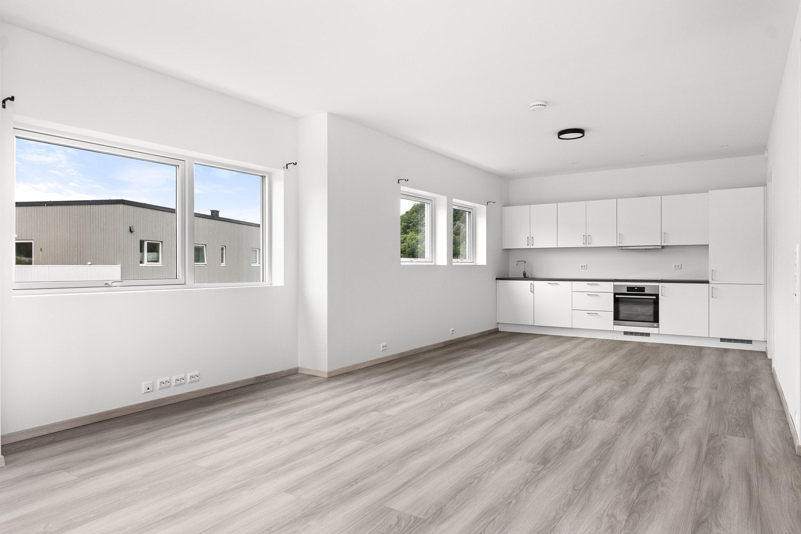 Store vindusflater i stue og kjøkken som gir naturlig lys Galleribilde