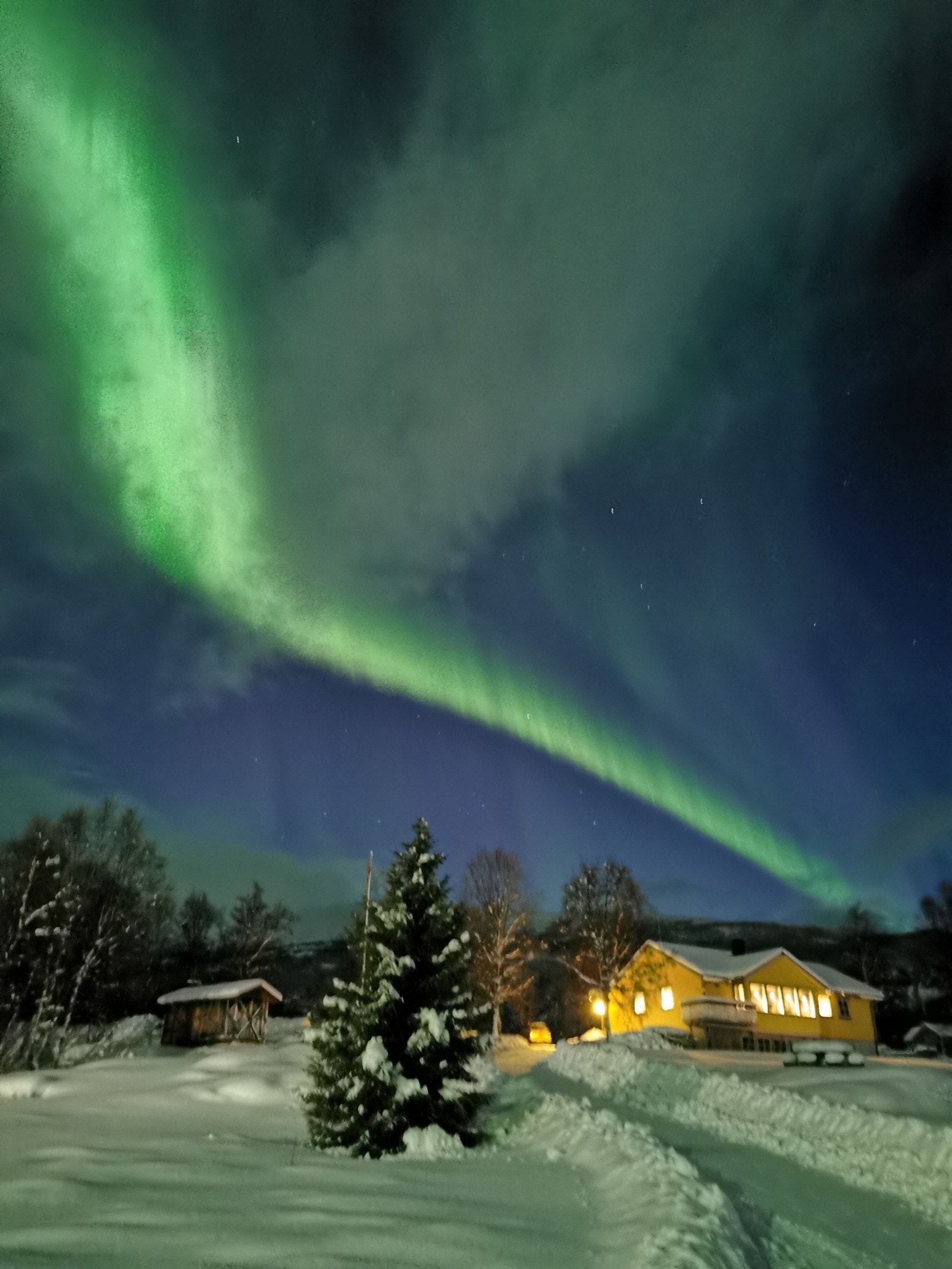 Vinterstemning med Nordlys Galleribilde