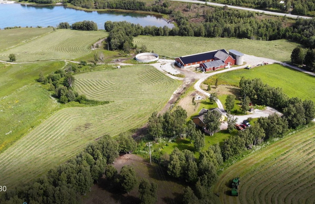 Skjermbilde Galleribilde